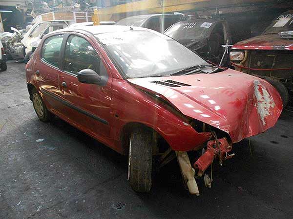 Portalón Peugeot 206  USADO